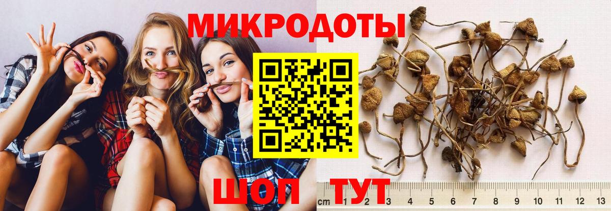Псилоцибиновые грибы Cubensis  Псилоцибиновые грибы ЛСД  Вход с VPN  Зерноград 